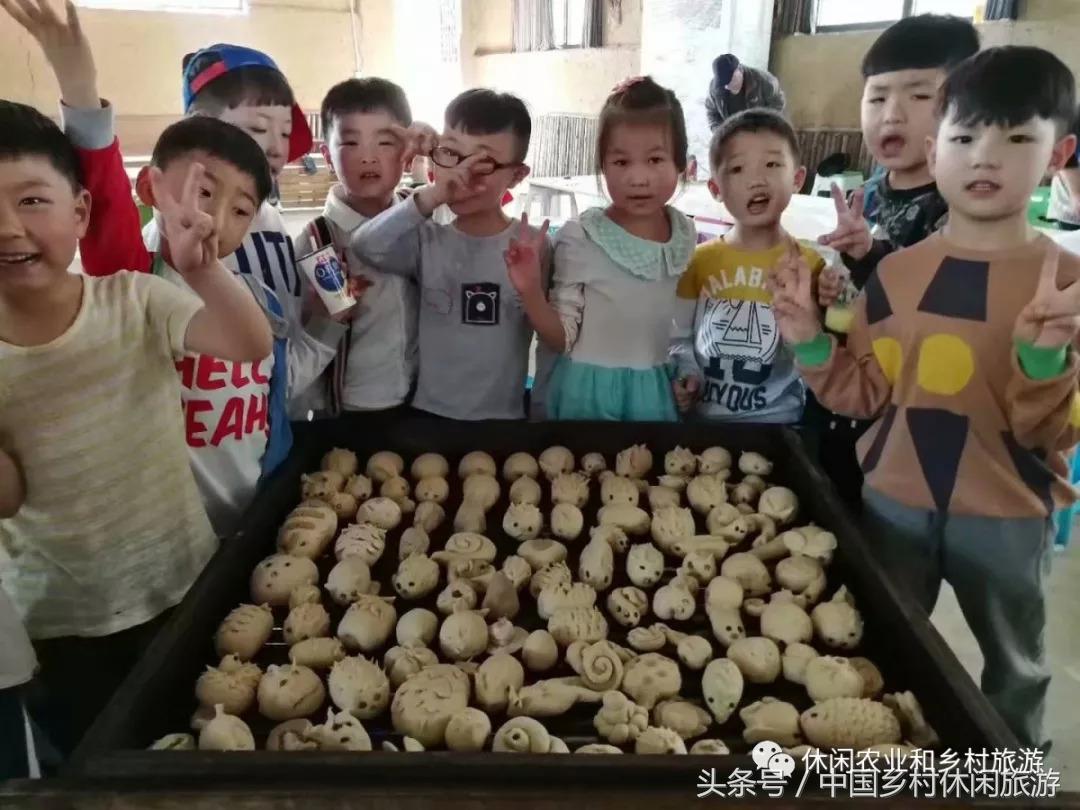 农业体验活动创意项目,休闲农业体验活动评估