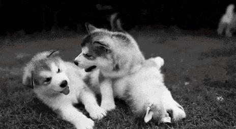 生娃养娃的成本,生娃艰辛养娃不易