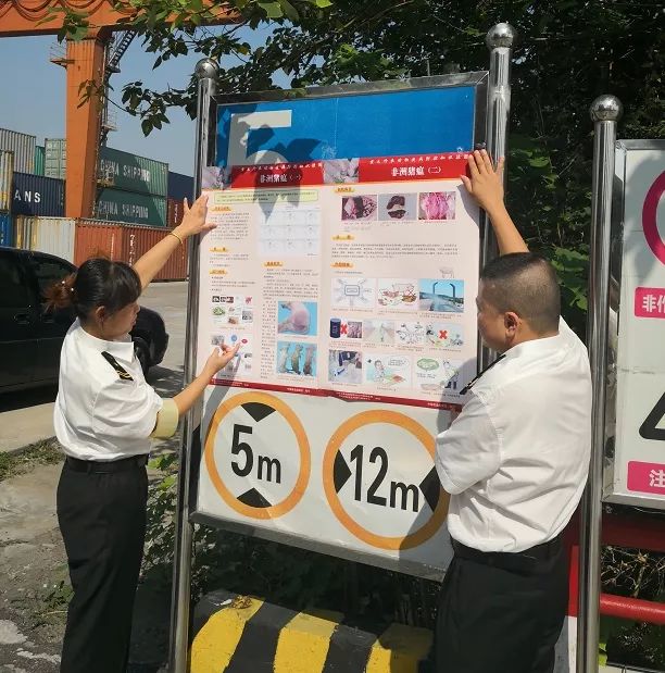 非洲猪瘟丨这个省境内连报8起……海关采取这样一些最严格的口岸防控措施