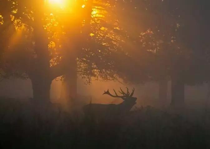 揭秘比毒品还盈利的茅台镇原浆酒,堪比毒品的暴利行业