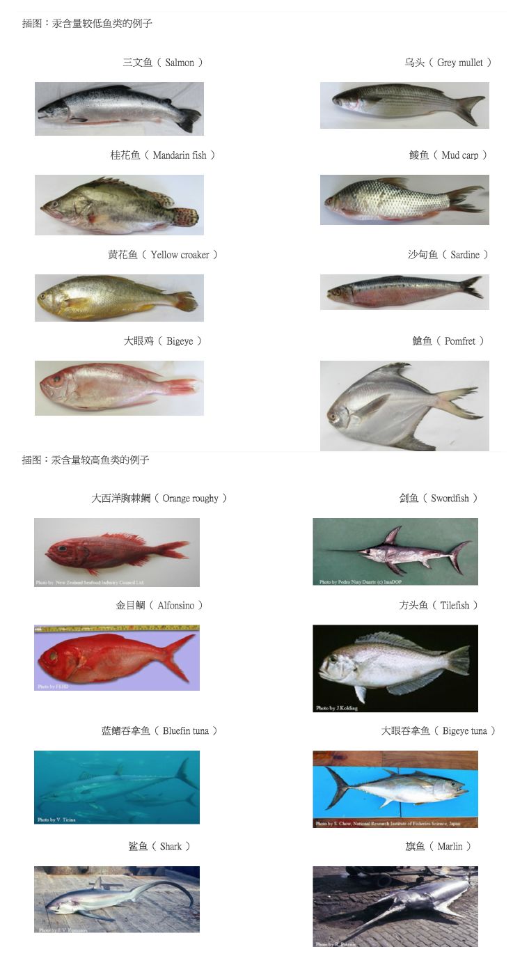 美国嘉宝米粉重金属超标,地球米粉重金属超标是谣言吗