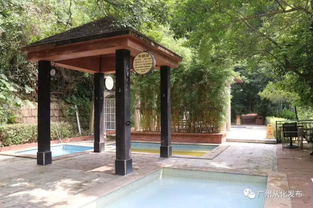 从化森林里的温泉,从化温泉度假详细旅游攻略