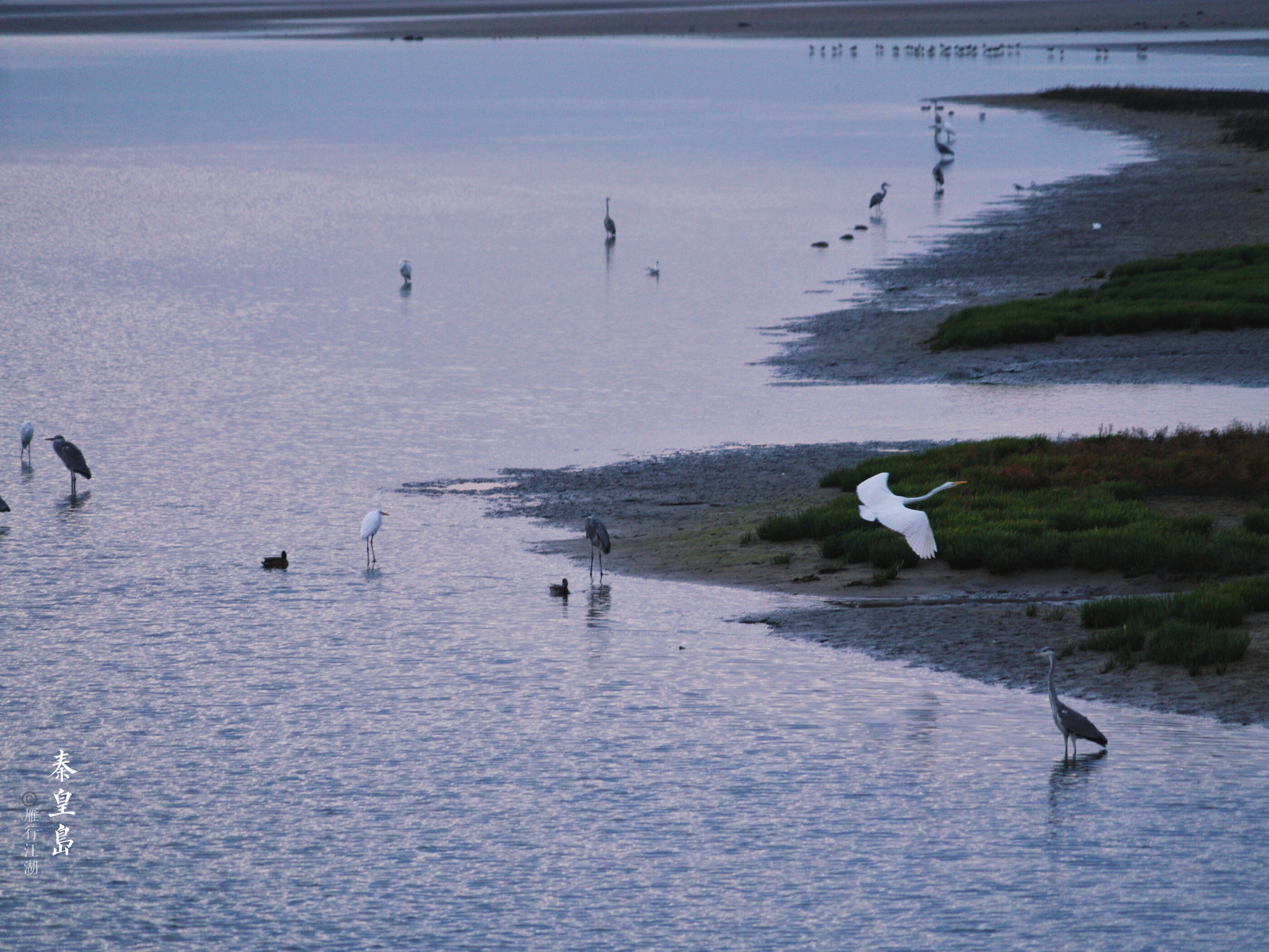 秦皇岛鸽子窝看日出攻略,秦皇岛动物园到鸽子窝