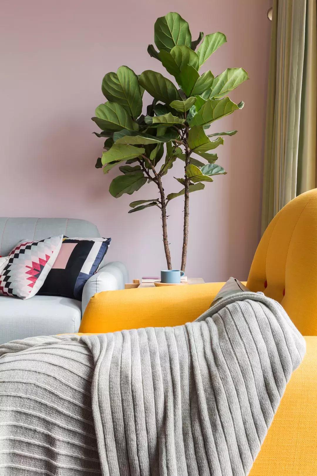 大胆玩“色”，设计也要随性自由