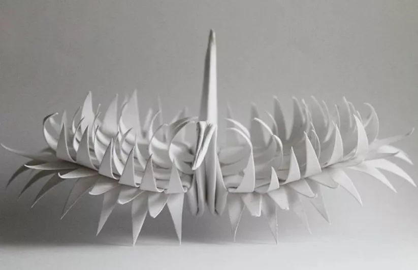 每天折一只纸鹤,每天折8只千纸鹤4天一共折多少只