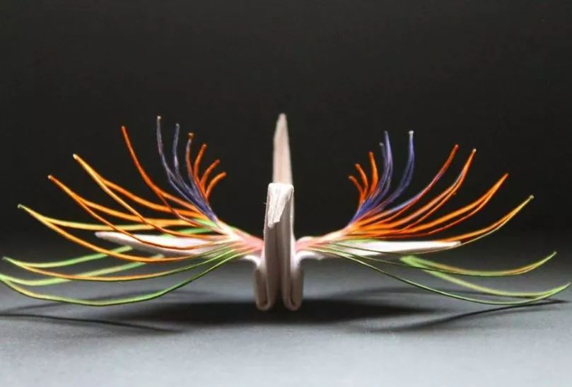 每天折一个千纸鹤,每天折一只纸鹤