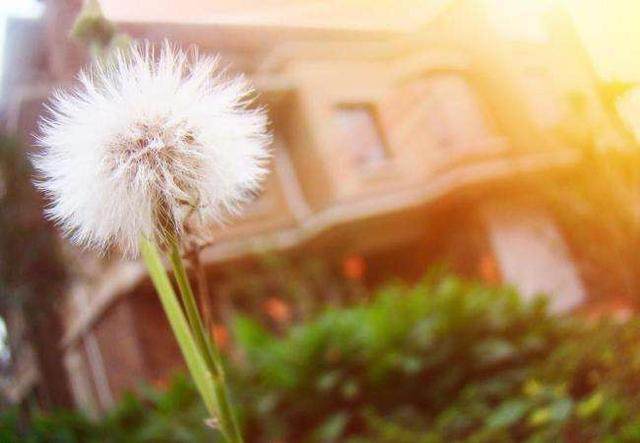 时光荏苒岁月如梭莫要蹉跎岁月,匆匆岁月唯有时光不可辜负