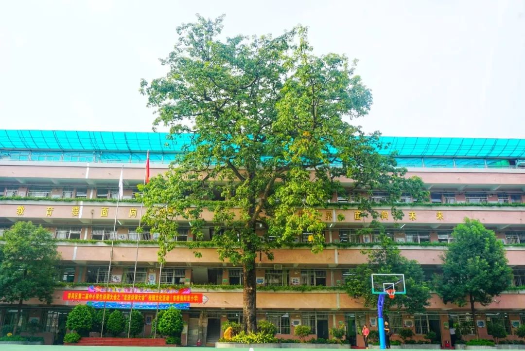 我爱诗词我爱中国小学版,我爱古诗词国学1-6年级