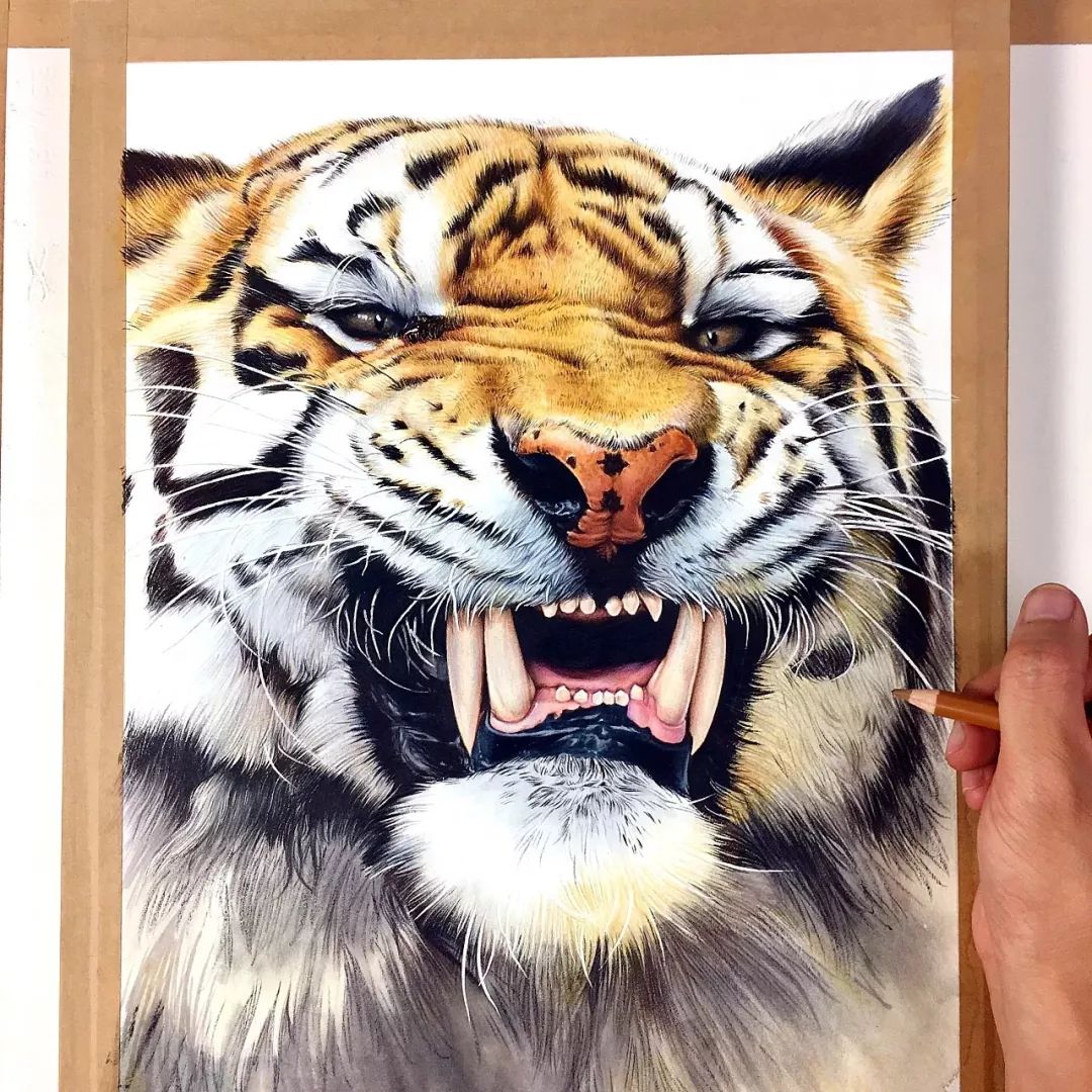 拥有800万超高人气，看看这位大神，是如何用水溶彩……