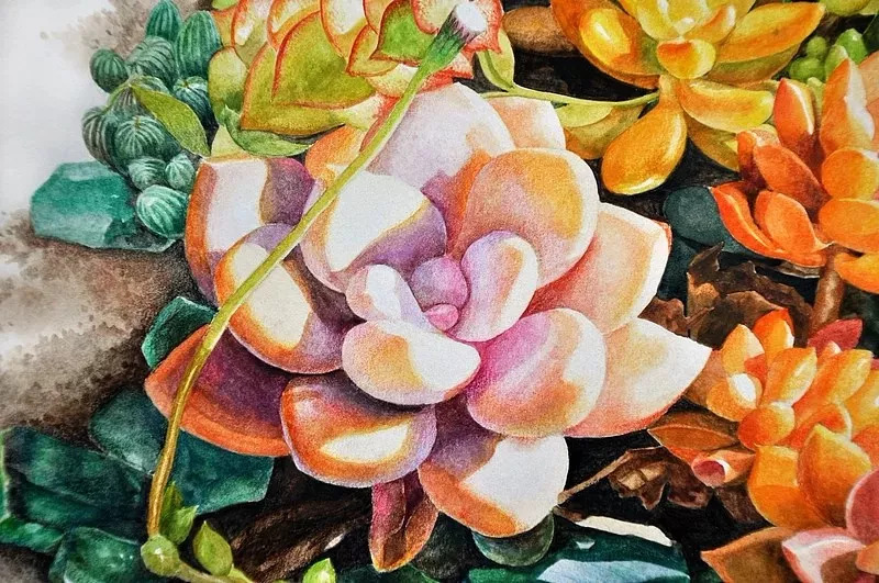 她画的超写实水彩花卉美到窒息,让人惊艳的水彩画