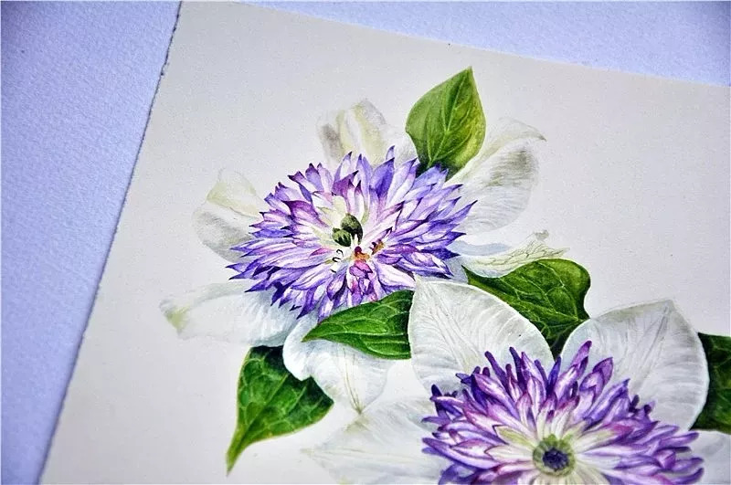 她画的超写实水彩花卉美到窒息,让人惊艳的水彩画