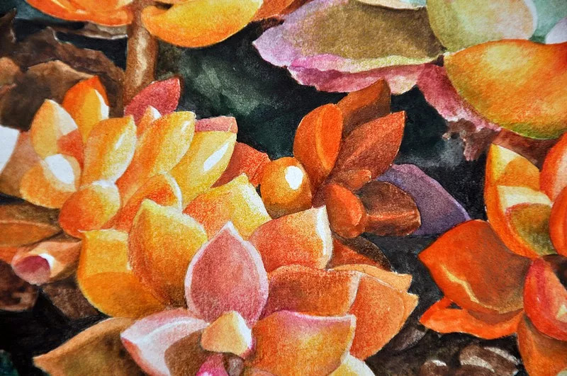 她画的超写实水彩花卉美到窒息,让人惊艳的水彩画