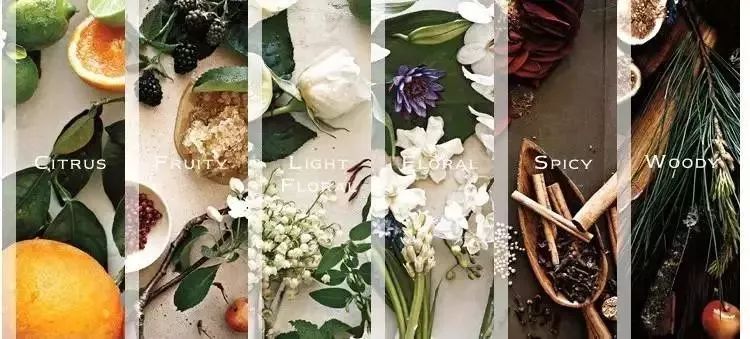 jomalone祖玛珑香水鼠尾草木香,jomalone祖玛珑香水白茶薄荷