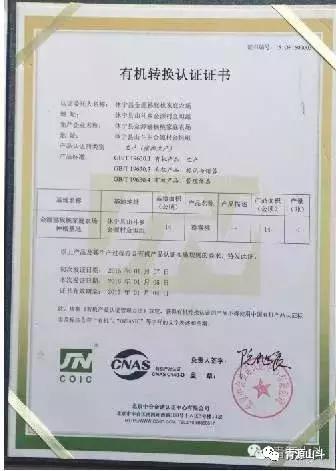 三峡猕猴桃 (中国农民丰收节博山猕猴桃)