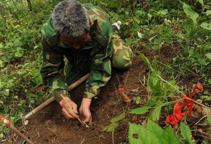 敦化寒葱岭红叶谷风景,吉林红叶最新视频