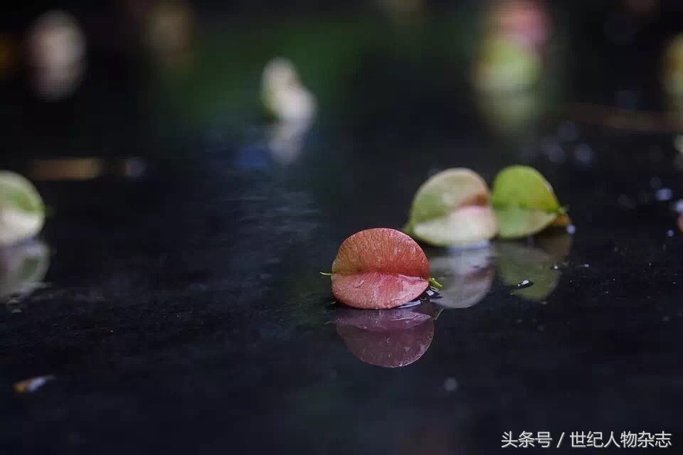 绉嬪垎璁╀汉闅惧彈,绉嬪垎蹇冮唹