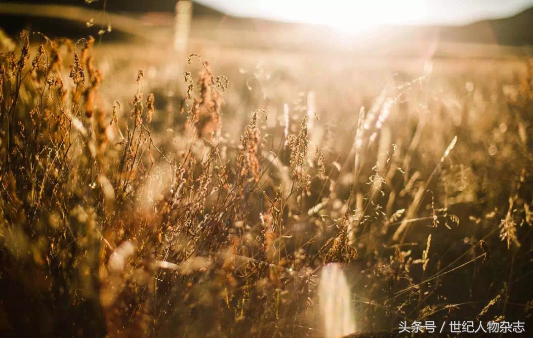 绉嬪垎璁╀汉闅惧彈,绉嬪垎蹇冮唹