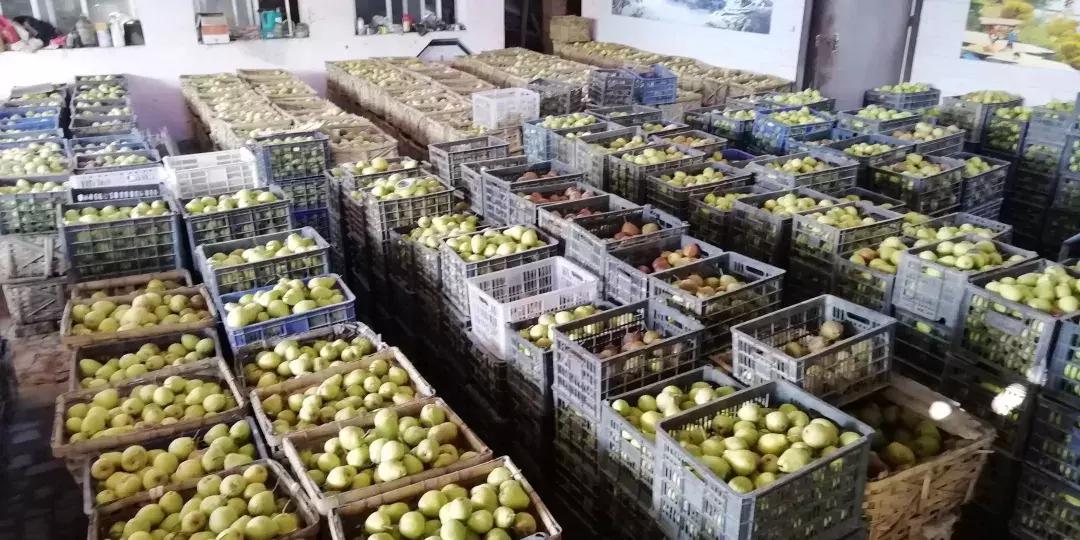 和政县三合镇尕新庄村,临夏州和政县三合镇尕新庄村