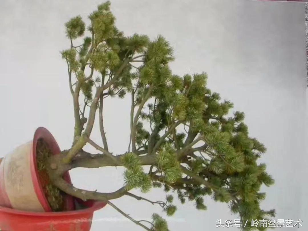 神来之笔绘画作品欣赏,神来之笔书法作品大全