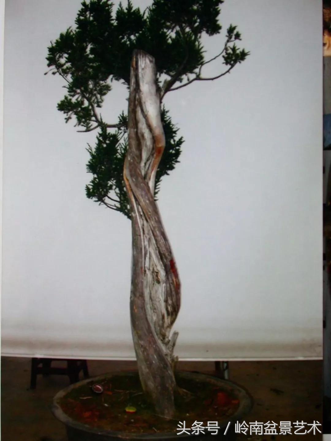 神来之笔绘画作品欣赏,神来之笔书法作品大全