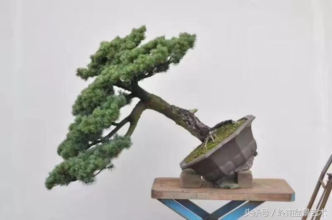 神来之笔绘画作品欣赏,神来之笔书法作品大全