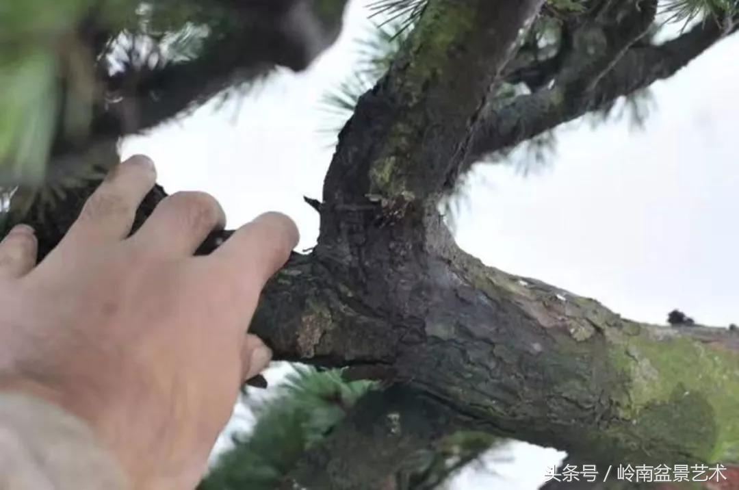 神来之笔绘画作品欣赏,神来之笔书法作品大全