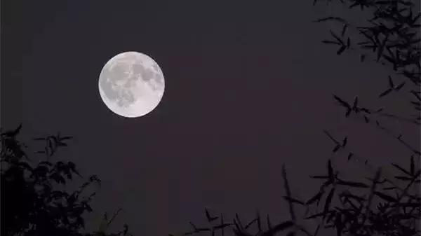 描写月亮最唯美经典的古诗词汇总,月是故乡明关于月亮的古诗词