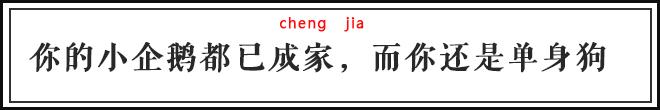 QQ宠物下线了，当年的你是悉心照料还是想掐死企鹅？