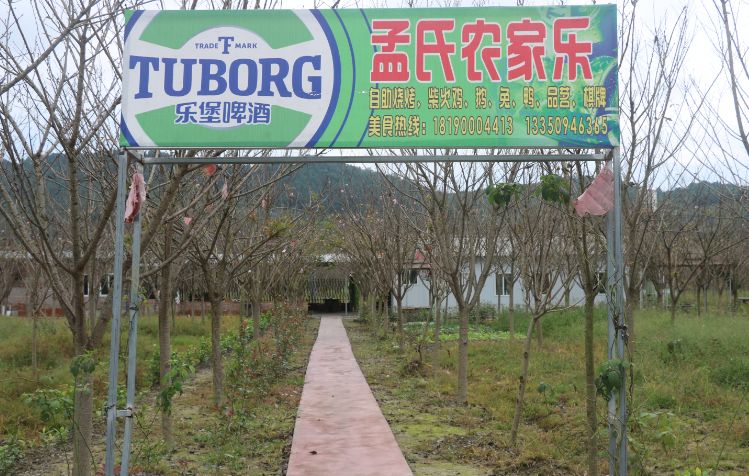 最好看的紫薇花美景,初秋靓丽的紫薇花