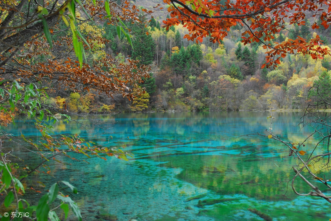 纳兰性德的悼亡诗名句,纳兰性德十首最著名诗
