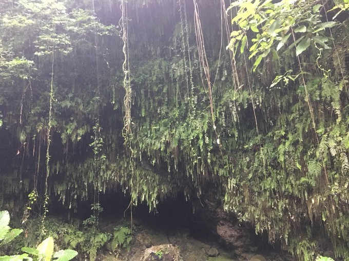 海南吃喝玩乐全攻略海口美食篇,海口旅游攻略美食路线推荐