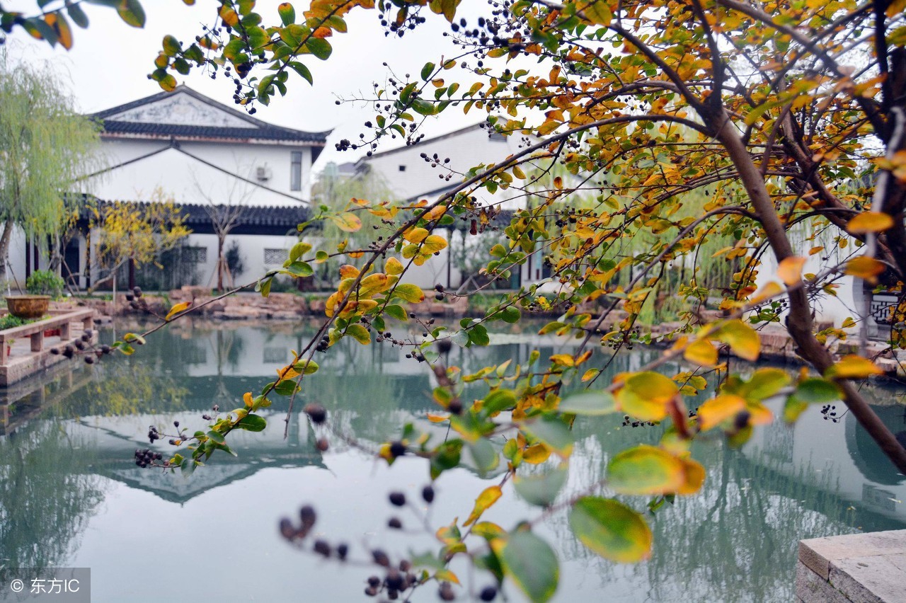 怎么经营一所学校,如何经营一个好学校