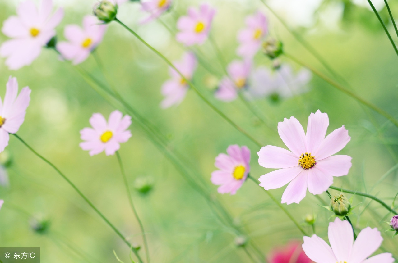 英语数词的用法归纳,英语数词的用法1到20