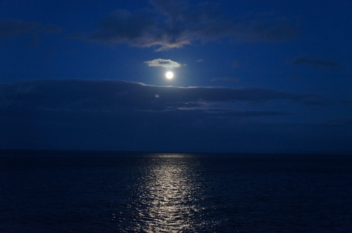 中秋特刊｜《荷塘月色》双语赏析