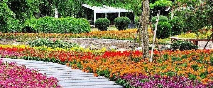 滁州必去旅游景点推荐,滁州旅游线路推荐