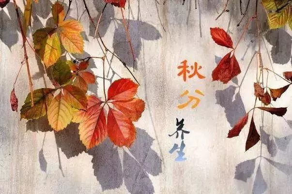 秋天适合旅游的地方易县,清西陵秋冬美景