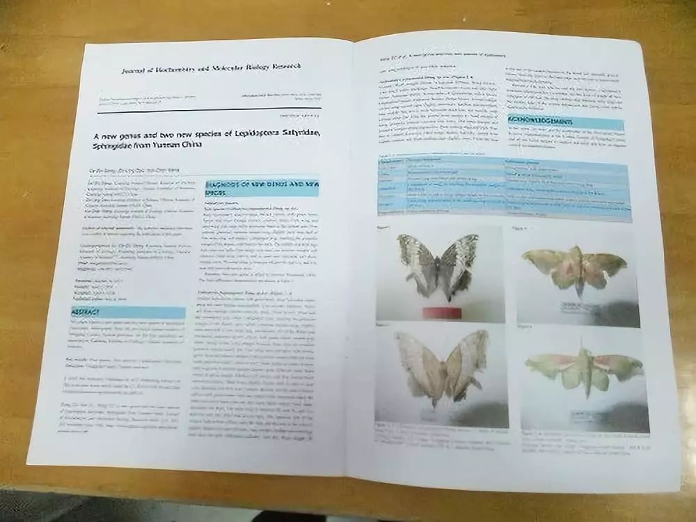 涓芥睙鎵撴崬鎵嬭〃,涓芥睙钀芥按浜哄憳鎵撴崬