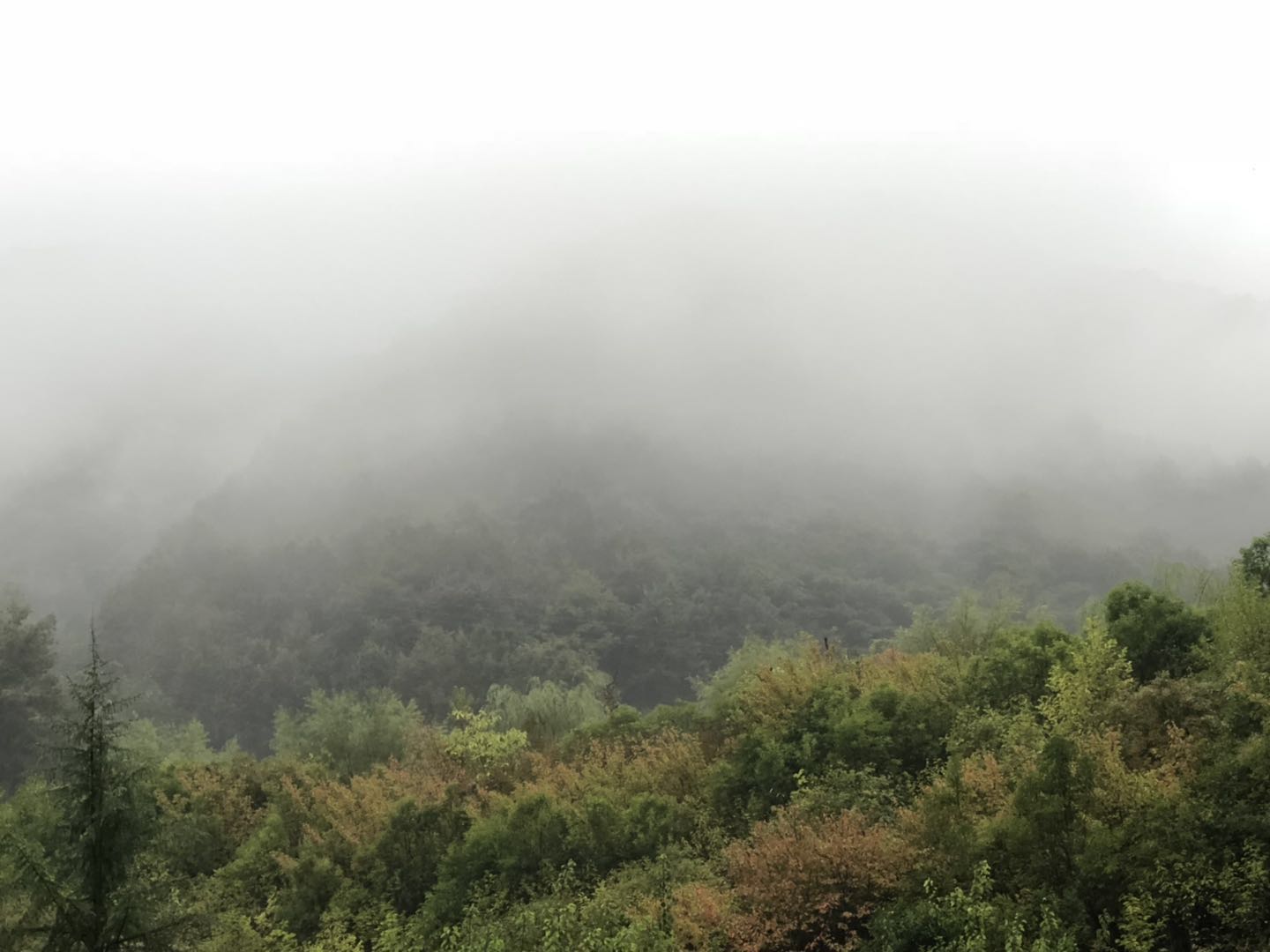 人间仙境洛阳栾川老君山,河南旅游景点推荐洛阳重渡沟
