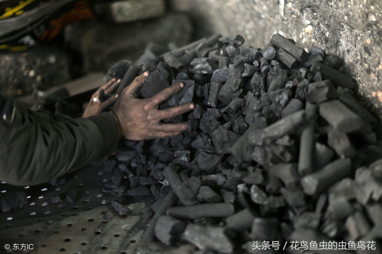 盆栽泡根的正确方法,盆栽如何做到不闷根