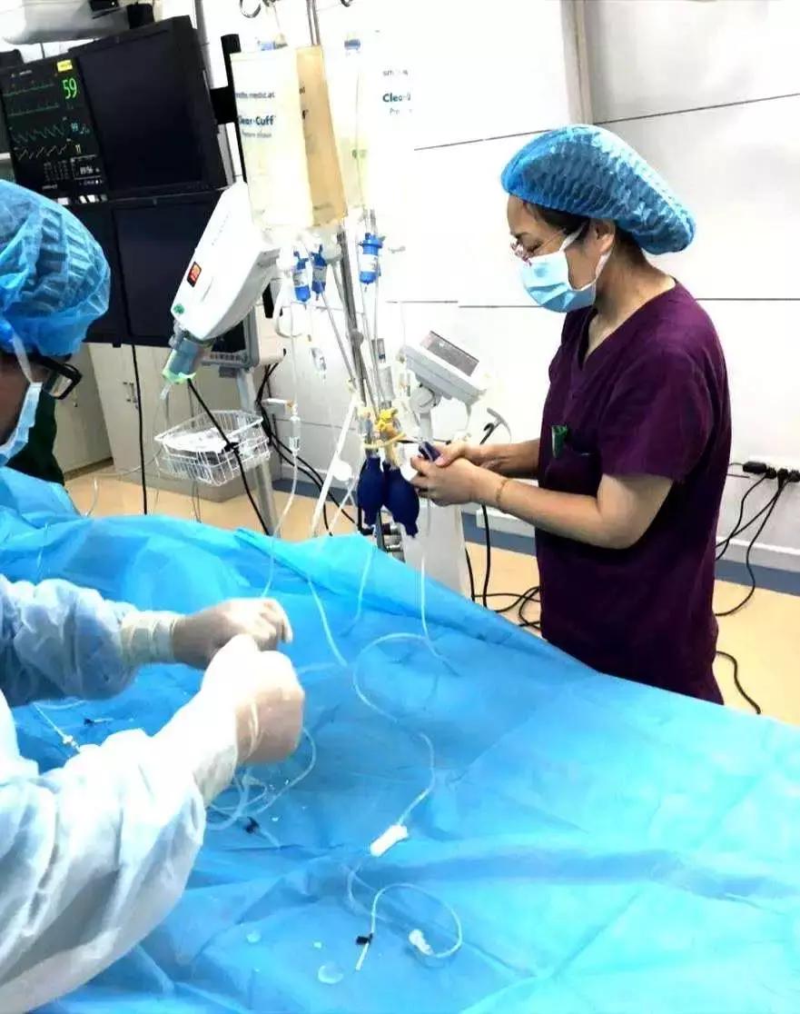 工作中的细节感悟,护理工作中的感动瞬间