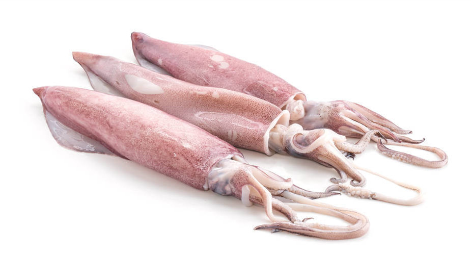 你知道如何区分章鱼墨鱼鱿鱼吗,章鱼墨鱼鱿鱼有什么区别