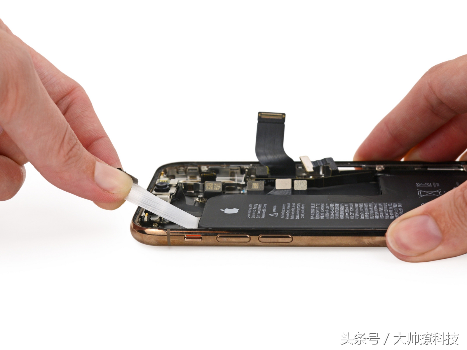 iphonexsiphonexsmax有什么区别,iphonexs和xsmax拆机对比