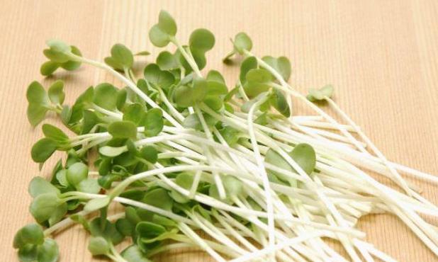 经常吃萝卜叶的好处与坏处,经常吃水果萝卜有什么好处和坏处