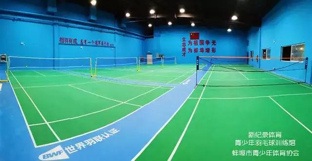 跟世界冠军学打羽毛球高远球,羽毛球世界冠军球路解析