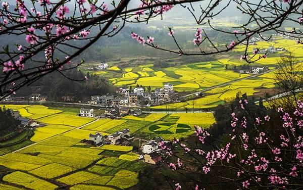 农秀才：农业农村部推荐100个休闲农业和乡村旅游精品景点线路