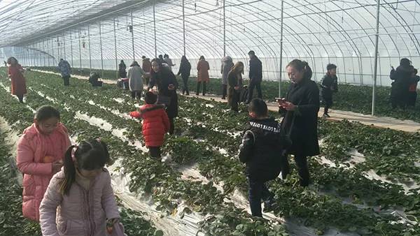 农秀才：农业农村部推荐100个休闲农业和乡村旅游精品景点线路