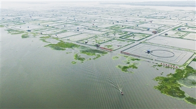 阳澄湖贴标蟹调查,假阳澄湖大闸蟹事件