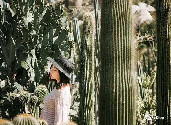 武汉到厦门自由行3-4天攻略,厦门鼓浪屿旅游攻略自由行攻略