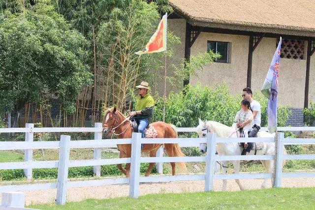 跟着萌宠过国庆，准备好迎接惊喜了吗？