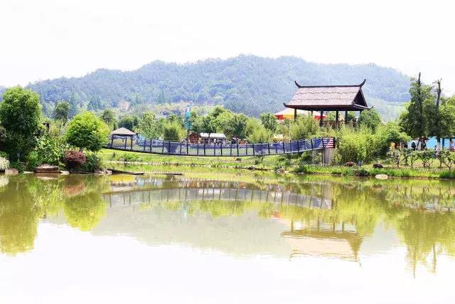 跟着萌宠过国庆，准备好迎接惊喜了吗？